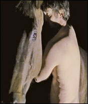 'Zoo'