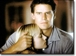 Marley Shelton, David Boreanaz