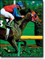 EchoStar introduces in-home wagering