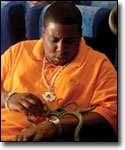 'Snakes on a Plane'