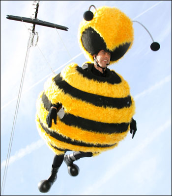 jerry seinfeld bees. Jerry Seinfeld dressed the