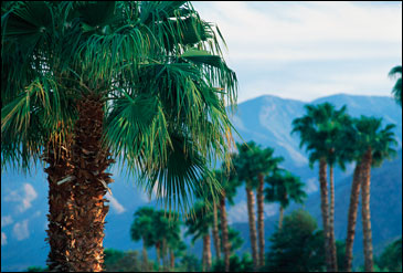Palm Springs Atomsphere