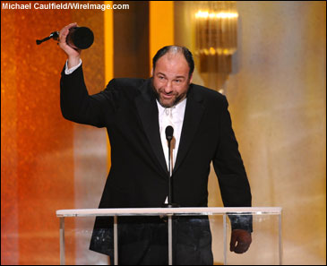 Actor James Gandolfini on stage at the 14th Annual Screen Actors Guild Awards at the Shrine Auditorium on January 27, 2008 in Los Angeles, California.